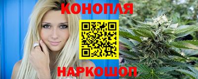 apvp Камышлов