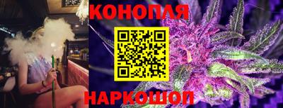 крисы Ипатово