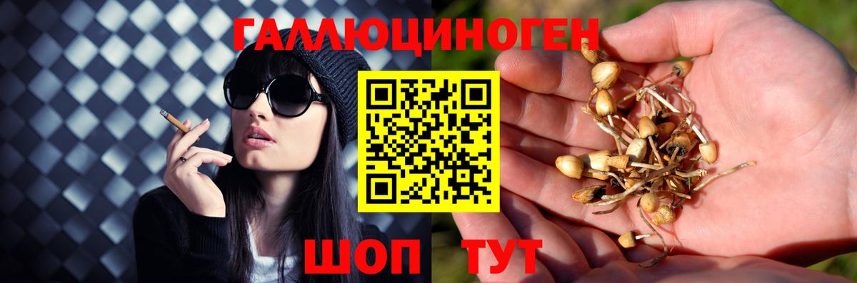 Краснокаменск  Псилоцибиновые грибы ЛСД  Вход с VPN 